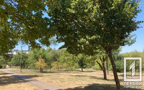 7 августа в Кривом Роге будет жаркая погода