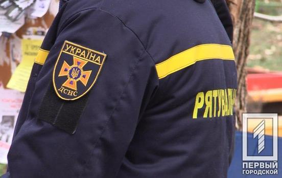 Недалеко от Кривого Рога мужчина нашёл старый боеприпас