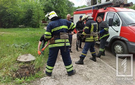 Отделался лёгким испугом: в Кривом Роге спасатели достали щенка из колодца