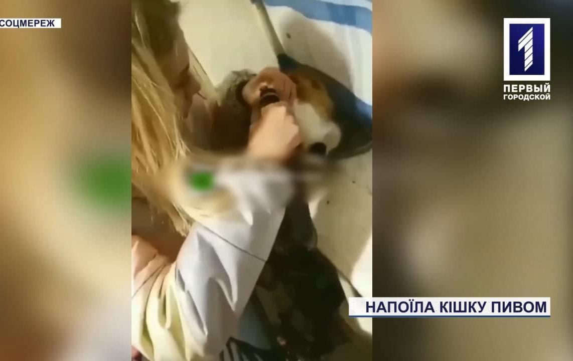 У Кривому Розі дівчина напоїла кішку пивом
