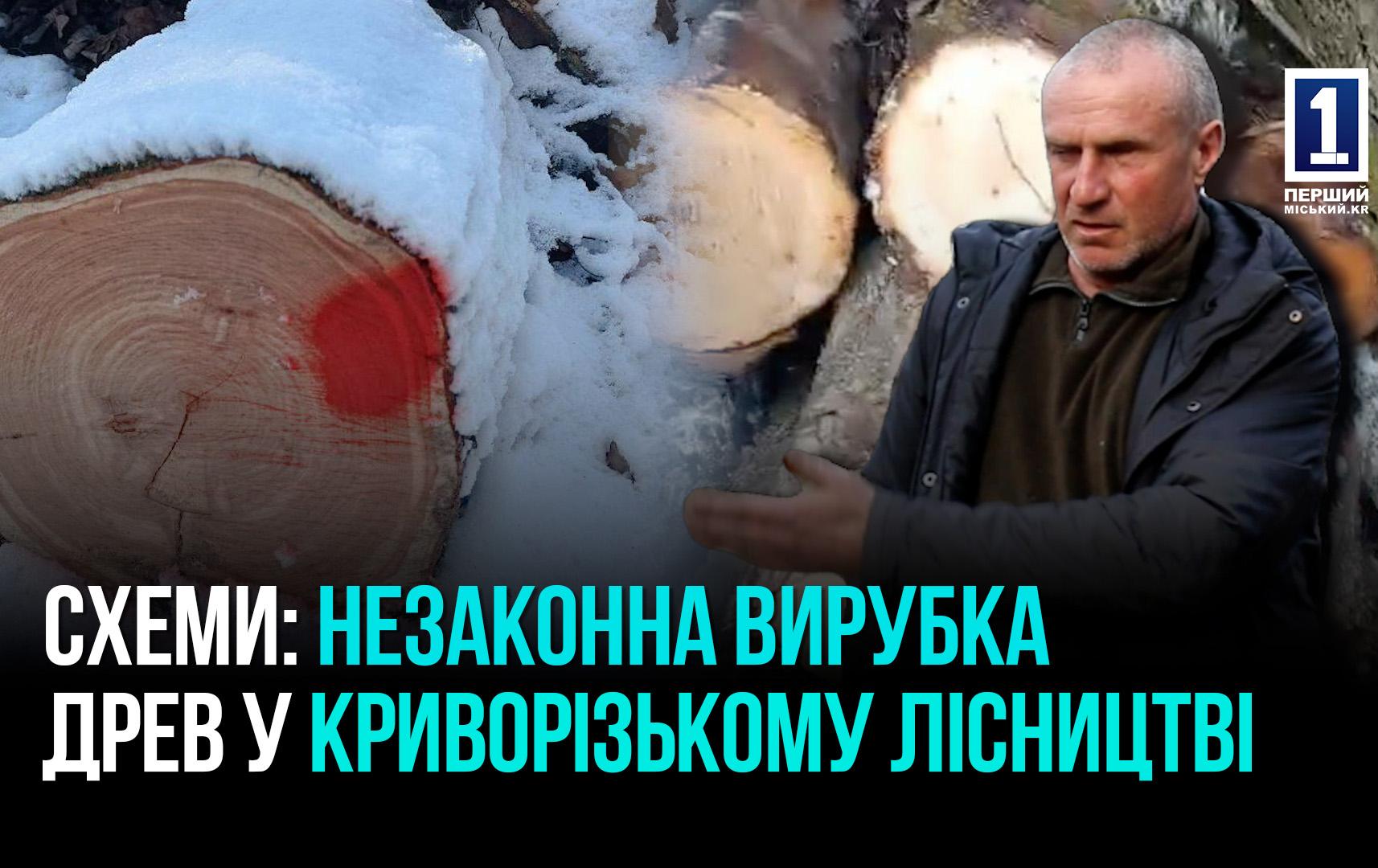 КОРУПЦІЯ:НЕЗАКОННА ВИРУБКА ДЕРЕВ