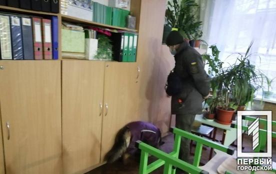 Зранку у Кривому Розі повідомили про мінування всіх шкіл