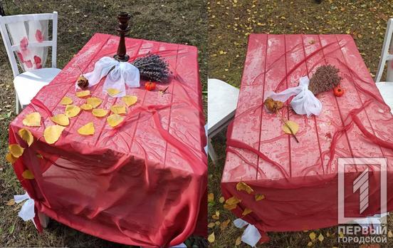 Невідомі вандали розтрощили у Криворізькому ботанічному саду тематичну фотозону