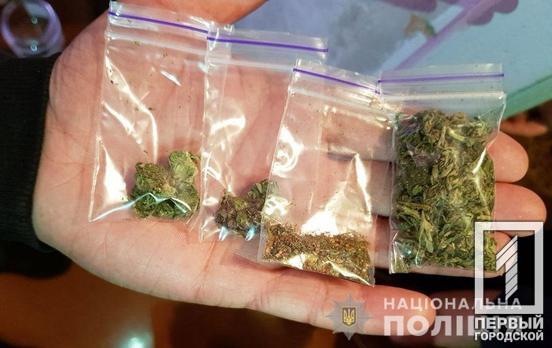 «Травка», зёрна, пять патронов: у жителей Кривого Рога изъяли запрещённые предметы