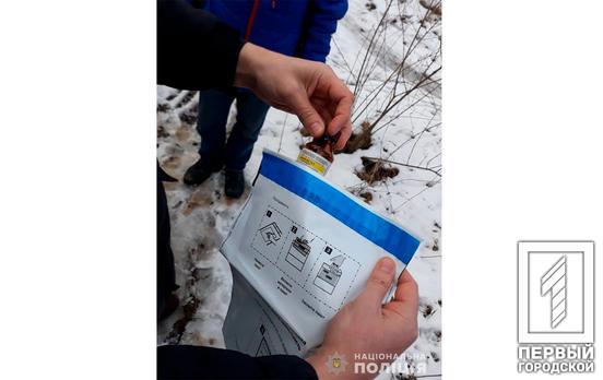 До трёх лет тюрьмы: полицейские Кривого Рога задержали горожанина с опием