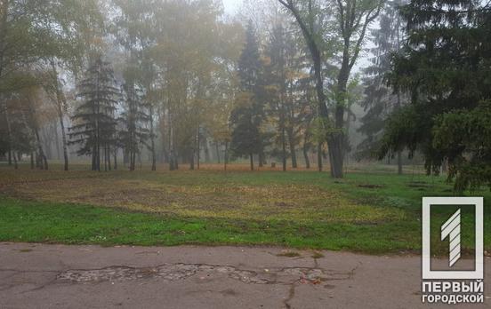 Жительница Кривого Рога просит реконструировать парк возле 8-й горбольницы