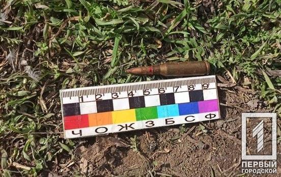 В Кривом Роге мужчина выкопал около ста патронов, их изъяли полицейские