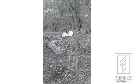 В Кривом Роге неизвестные выбросили собаку в завязанном мешке, - соцсети