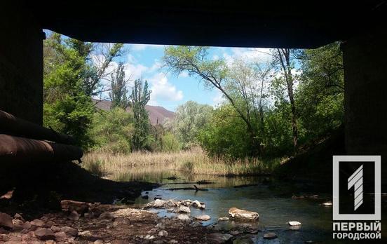 21 мая в Кривом Роге выглянет солнце и похолодает