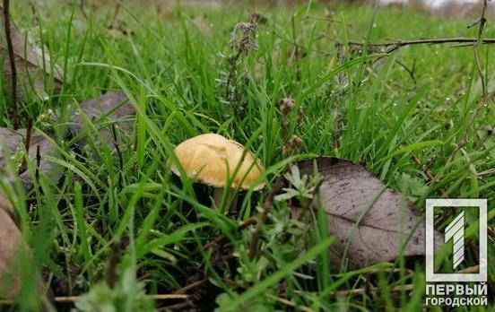 18 января в Кривом Роге будет ясная погода