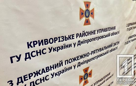 У селищі поблизу Кривого Рогу на ходу загорівся автомобіль