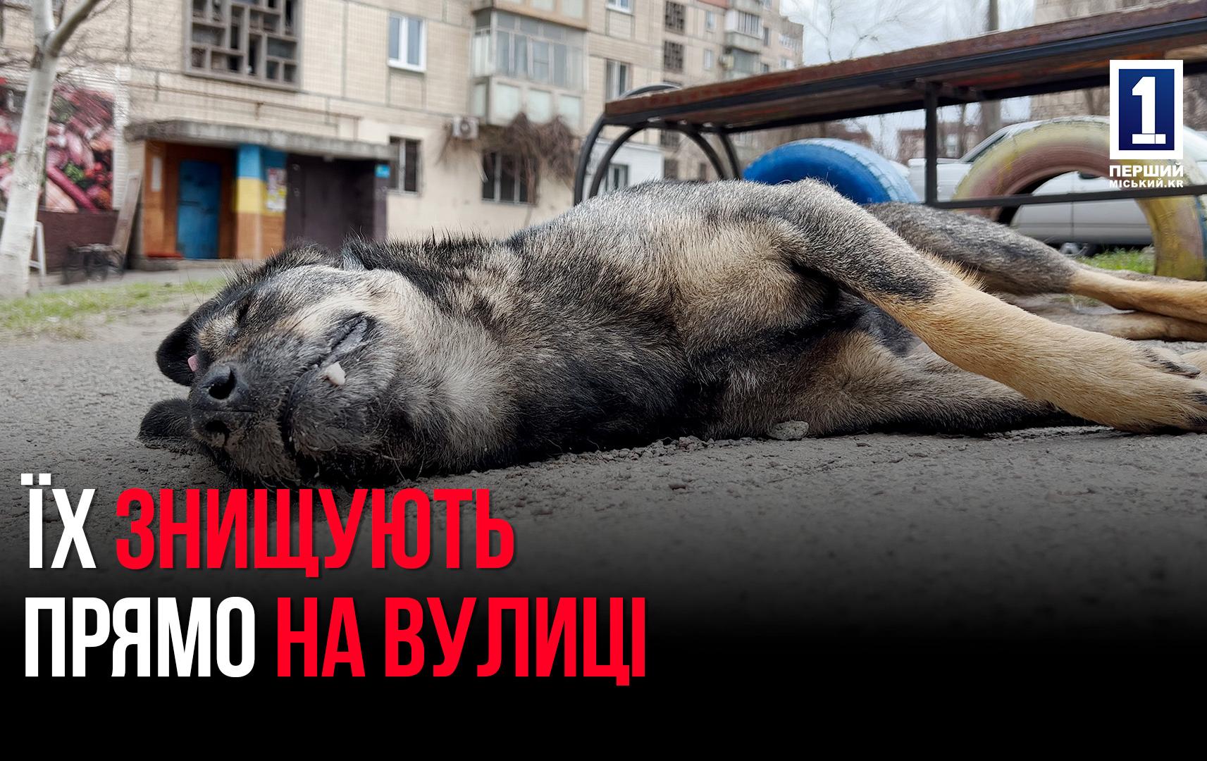 ЖАХ