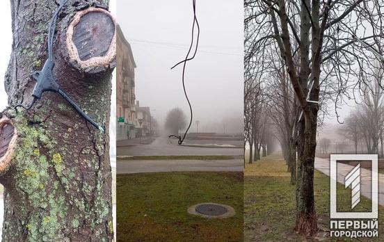 У Кривому Розі вандал пошкодив ілюмінацію на алеї 200 каштанів