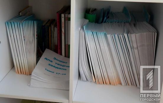 В Кривом Роге собираются закрыть два учебных заведения