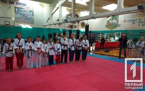 Спортсмены Кривого Рога привезли золото с чемпионата области по тхэквондо