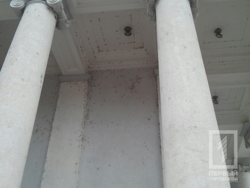 %d0%bf%d0%bb%d0%b5%d1%81%d0%b5%d0%bd%d1%8c 2