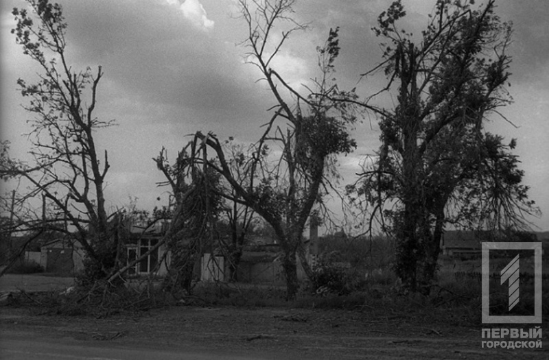 %d0%b3%d0%bb%d1%8f%d0%b4%d0%b5%d0%bb%d0%be%d0%b2 %d1%84%d0%be%d1%82%d0%be