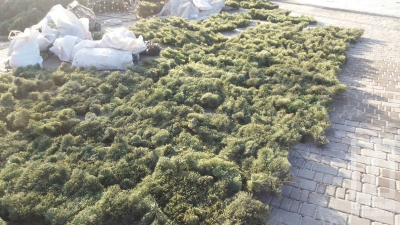 %d1%91%d0%bb%d0%ba%d0%b0 2