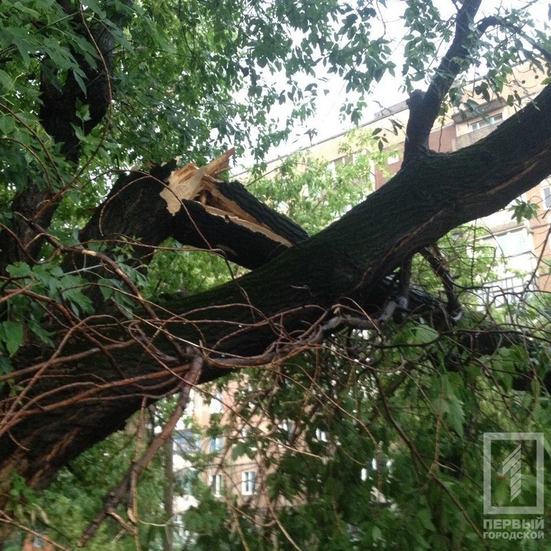 %d0%b2%d0%b5%d1%82%d0%ba%d0%b0