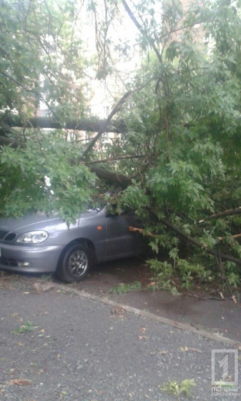 225510014 65262 15278239328727922931