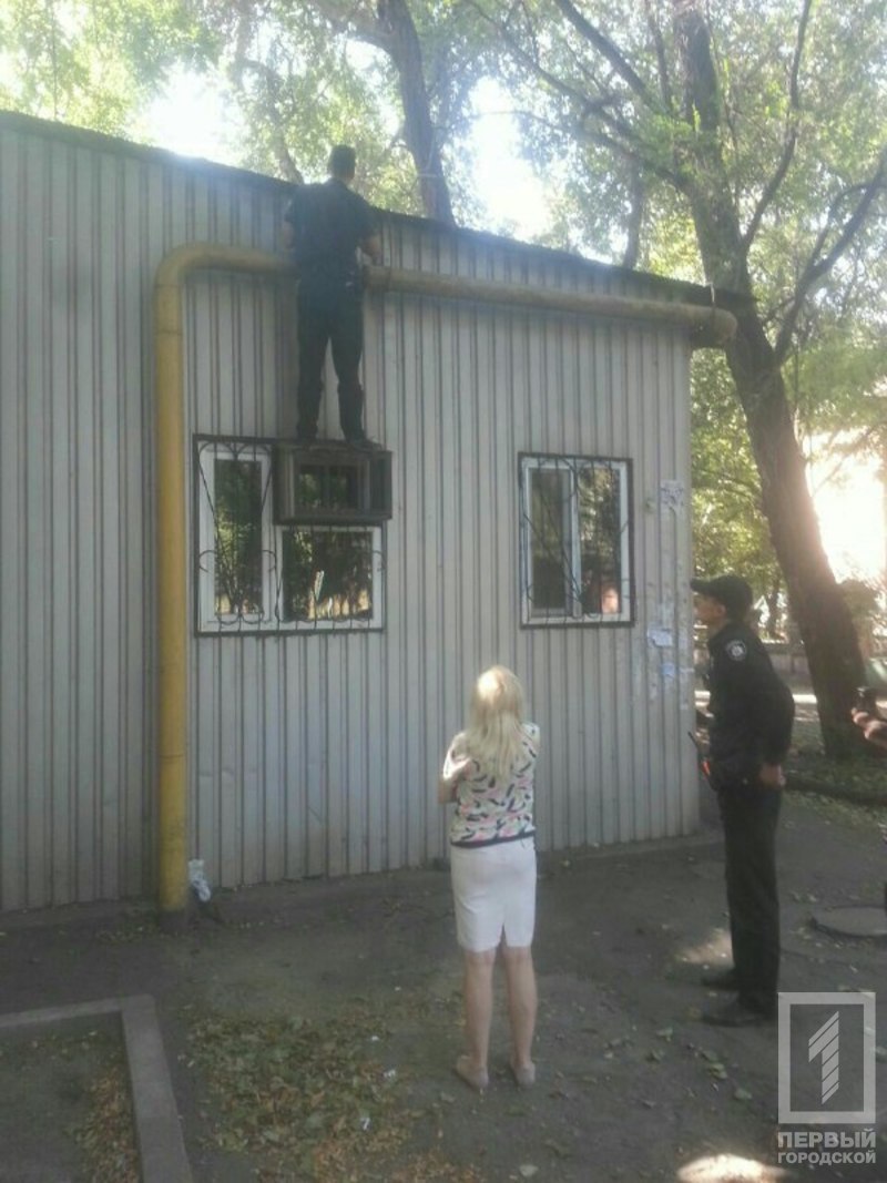 %d0%ba%d0%be%d1%82 %d0%ba%d0%be%d0%bf 2