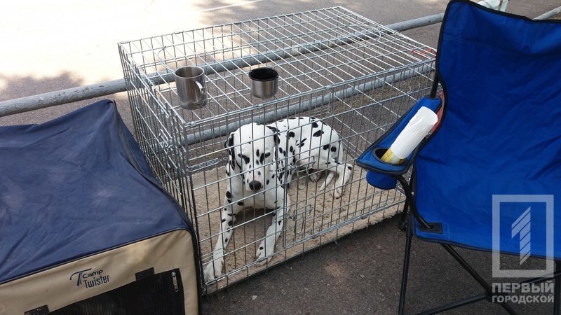 %d0%b4%d0%b0%d0%bb%d0%bc%d0%b0%d1%82%d0%b8%d0%bd%d0%b5%d1%86