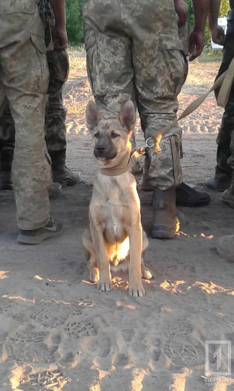 18813151 1476166919112455 4633992732666400397 n