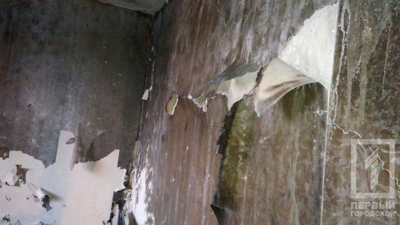 Photo 2017 08 19 19 17 58 %282%29