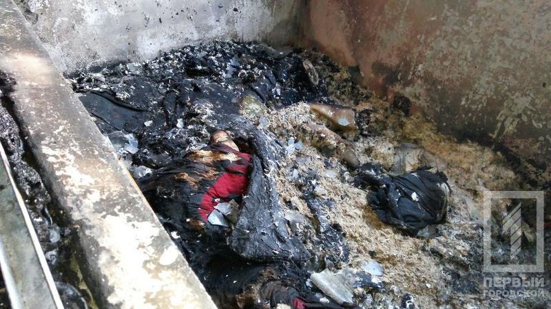 Photo 2017 08 19 19 17 54