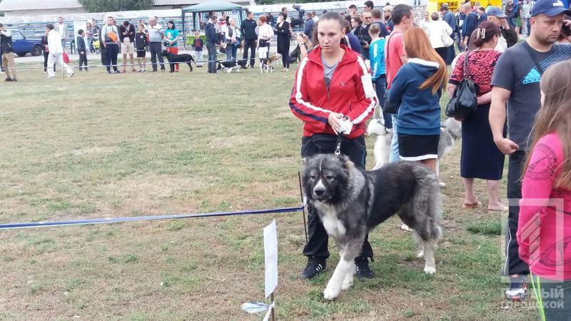 Photo 2017 09 23 10 48 44