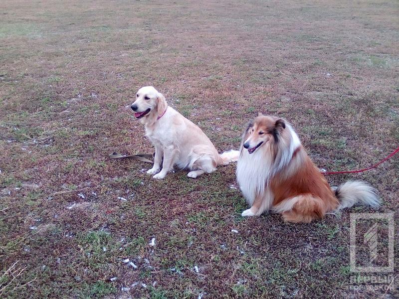 Photo 2017 09 23 10 59 33