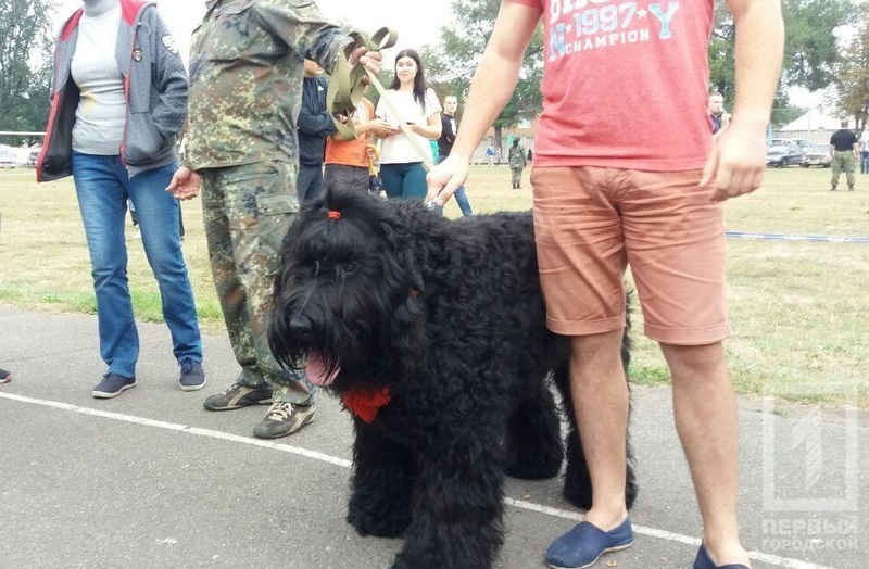 Photo 2017 09 23 10 48 49