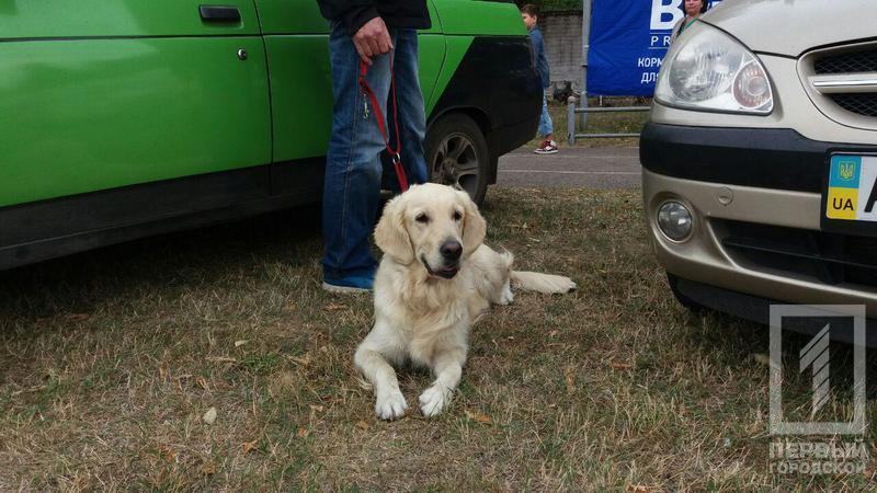 Photo 2017 09 23 10 43 58