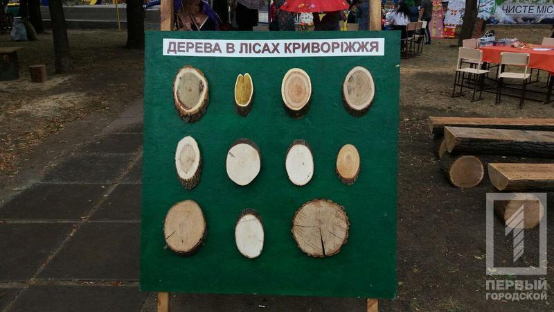 Photo 2017 09 23 13 34 24