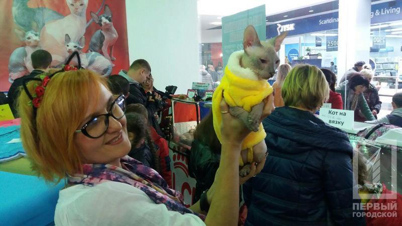 %d0%ba%d0%be%d1%82 11