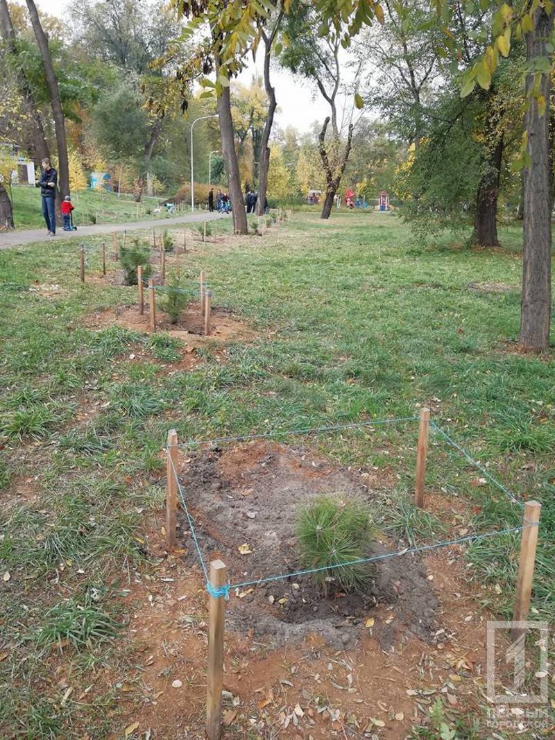 %d1%81%d0%be%d1%81%d0%bd%d1%8b %d0%bc%d0%b5%d1%80%d1%88%d0%b0%d0%b2%d1%86%d0%b5%d0%b2%d0%b0