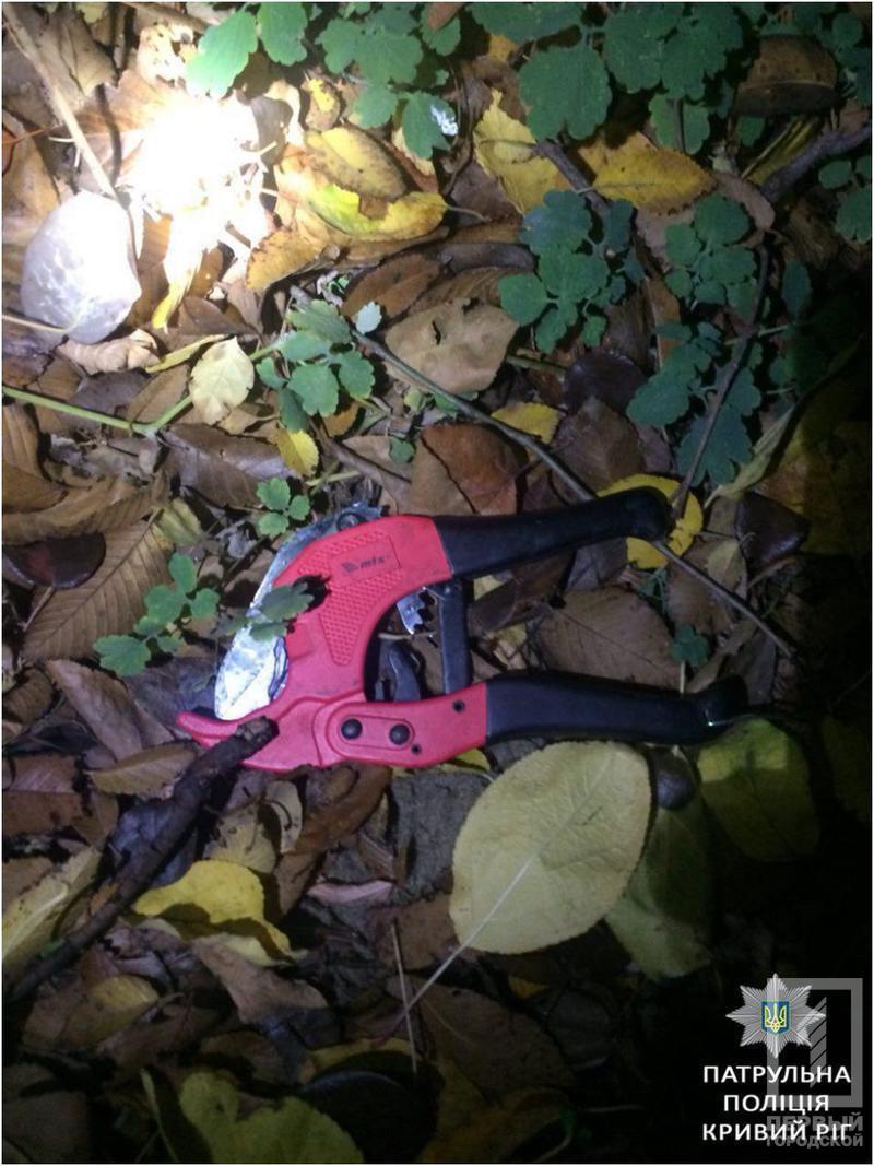 %d1%89%d0%b8%d0%bf%d1%86%d1%8b