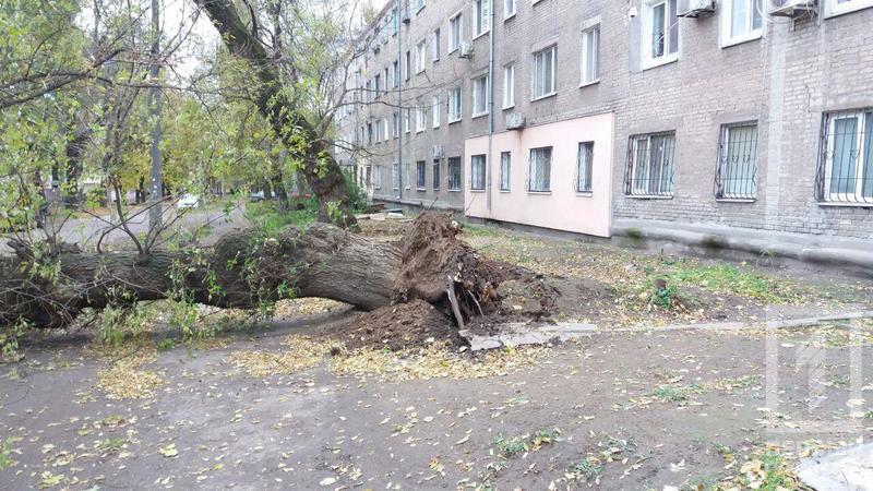 %d0%bc%d0%b0%d1%88%d0%b8%d0%bd%d0%b0 %d0%b2%d0%b5%d1%82%d0%ba%d0%b0 2