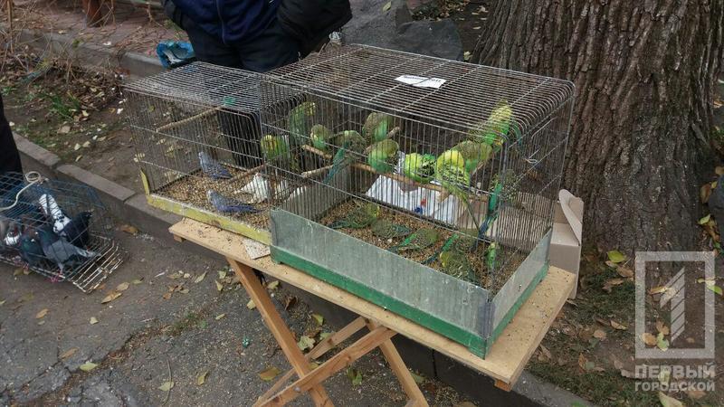 %d0%bf%d1%82%d0%b8%d1%86%d1%8b 9