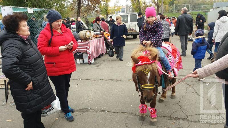 %d0%bf%d1%82%d0%b8%d1%86%d1%8b %d0%bf%d0%be%d0%bd%d0%b8