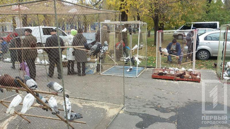 %d0%bf%d1%82%d0%b8%d1%86%d1%8b 3