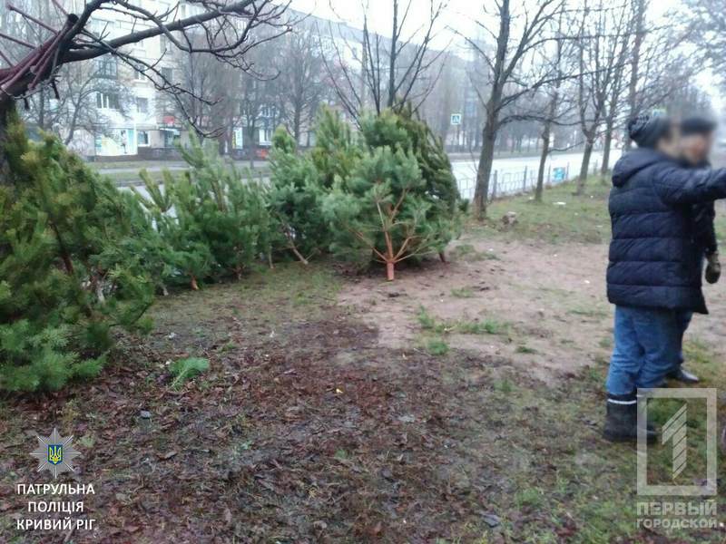 %d1%91%d0%bb%d0%ba%d0%b8 %d0%b1%d0%bb%d1%8e%d1%80