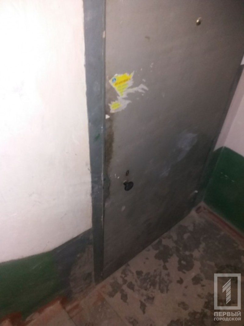 %d0%b4%d0%be%d0%bc%d1%83%d1%88%d0%bd%d0%b8%d0%ba%d0%b8