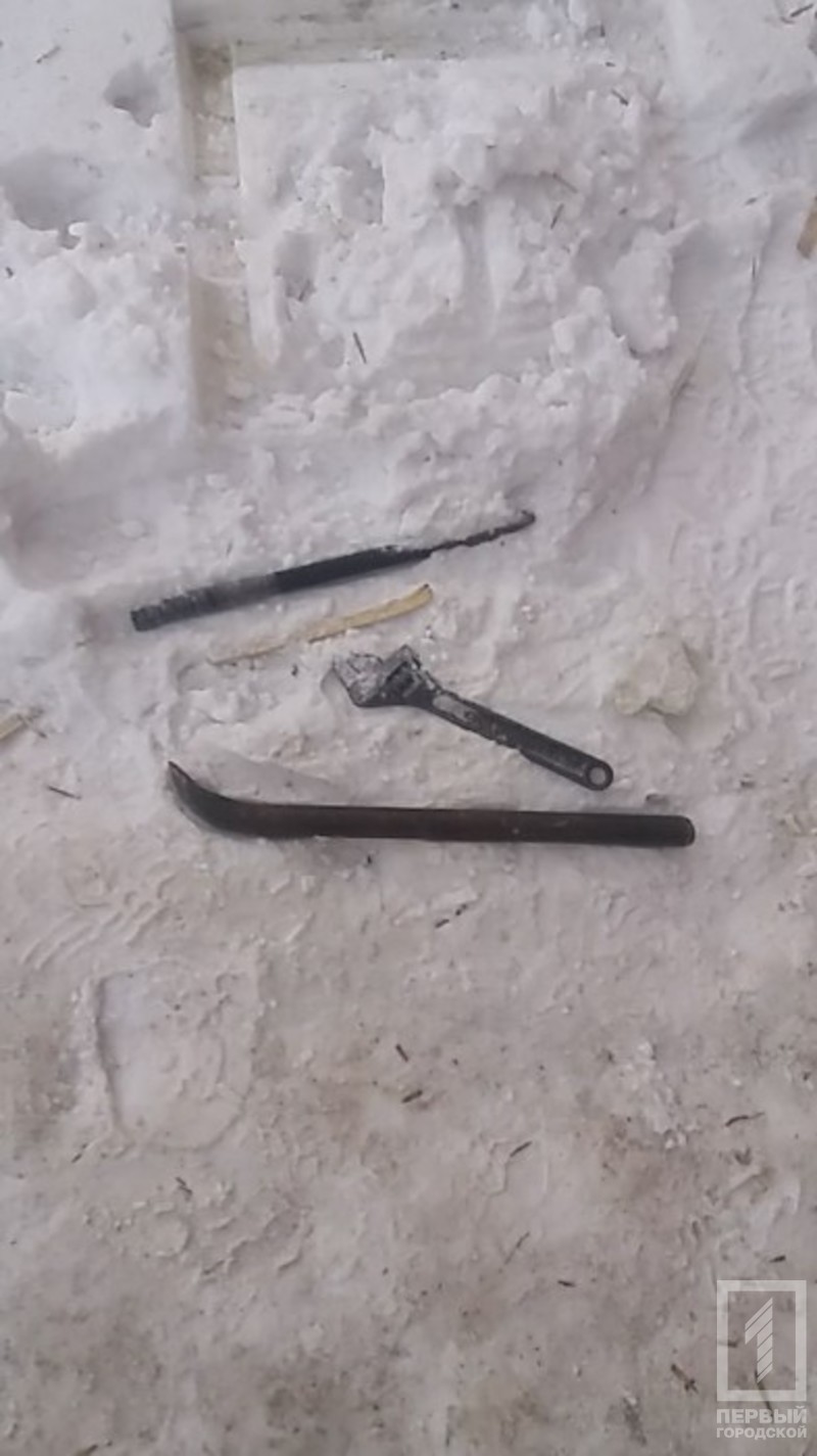 %d0%b4%d0%be%d0%bc%d1%83%d1%88%d0%bd%d0%b8%d0%ba %d0%b8%d0%bd%d1%81%d1%82%d1%80%d1%83%d0%bc%d0%b5%d0%bd%d1%82%d1%8b