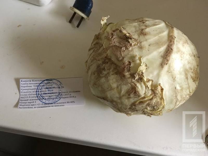 %d0%ba%d0%b0%d0%bf%d1%83%d1%81%d1%82%d0%b0