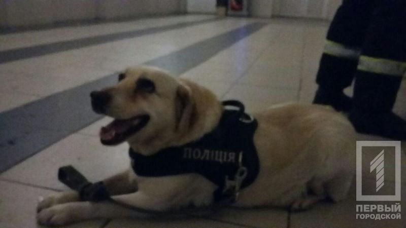 %d1%81%d0%be%d0%b1%d0%b0%d0%ba%d0%b0