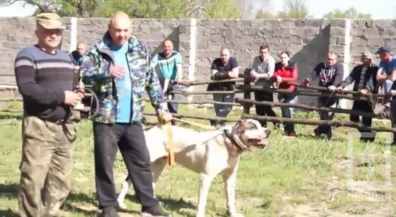 %d0%98%d0%b2%d0%b0%d0%bd%d1%87%d0%b5%d0%bd%d0%ba%d0%be