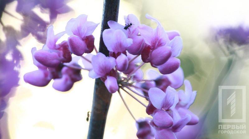 %d0%b4%d0%b5%d1%80%d0%b5%d0%b2%d1%8c%d1%8f13