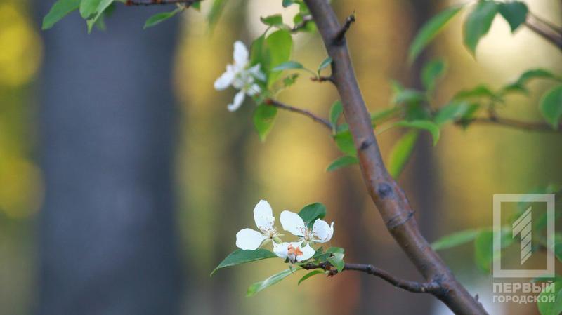 %d0%b4%d0%b5%d1%80%d0%b5%d0%b2%d1%8c%d1%8f2