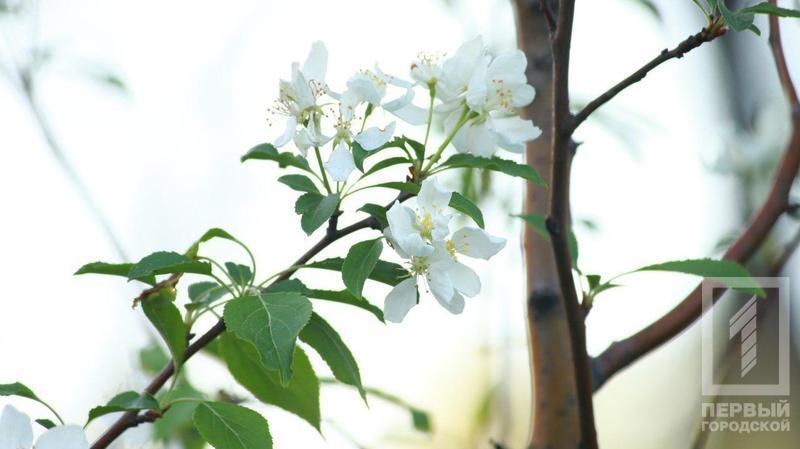 %d0%b4%d0%b5%d1%80%d0%b5%d0%b2%d1%8c%d1%8f3